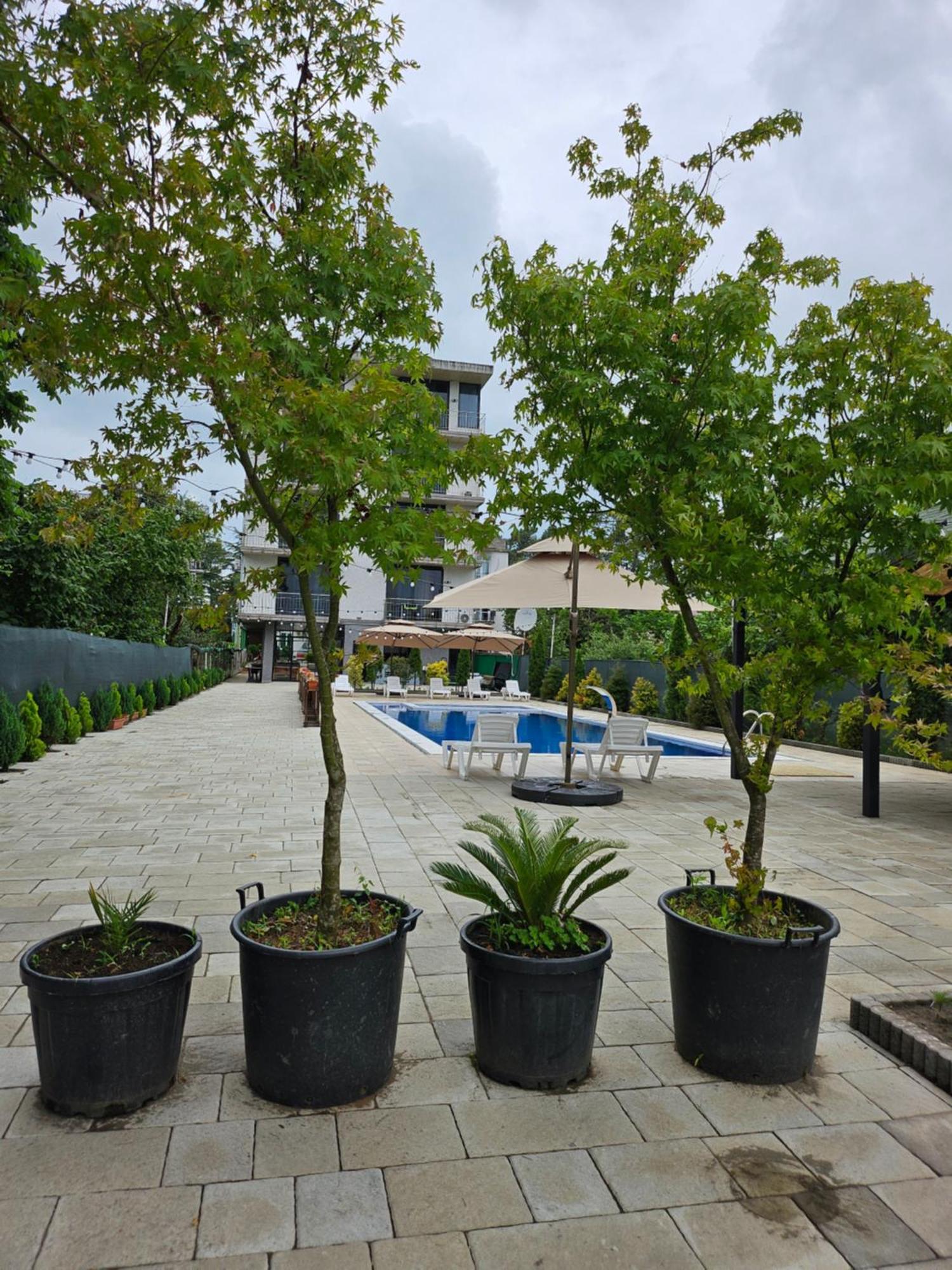 Green Terrace Kobuleti Ngoại thất bức ảnh
